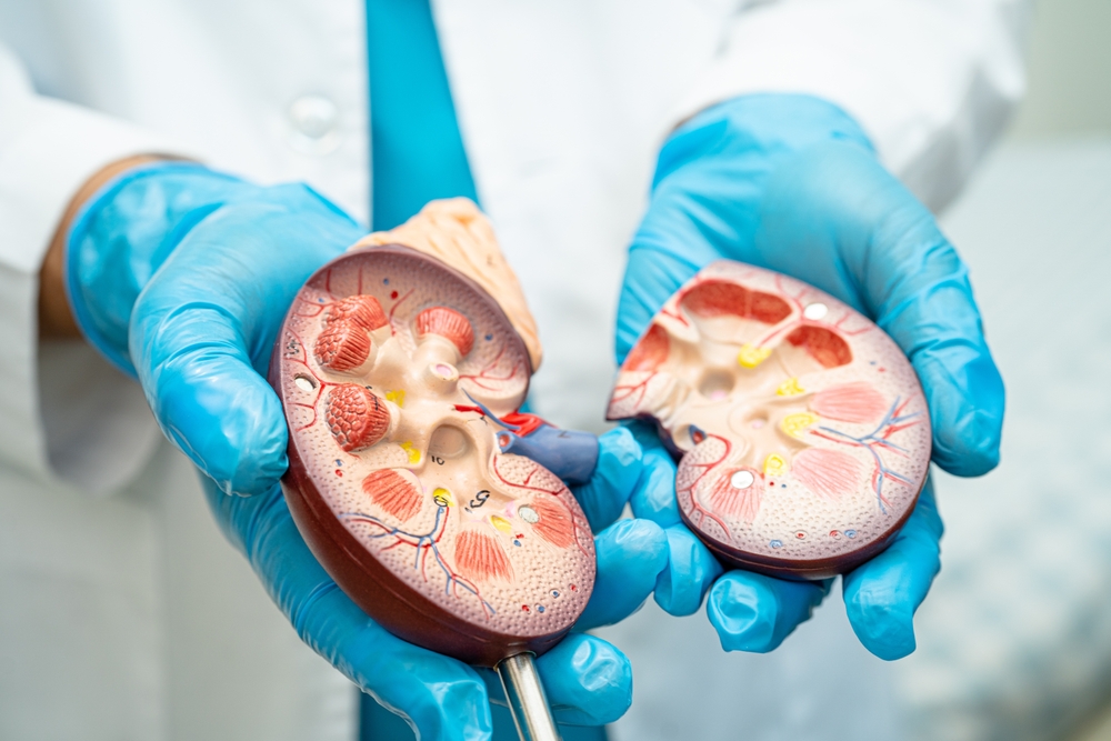 Intrarenal Stone Crushing